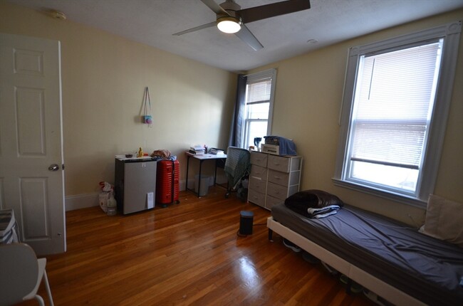 234 Cypress St, Unit 2 in Brookline, MA - Building Photo - Building Photo