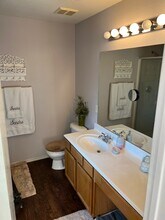 1704 Morning Dove in Aubrey, TX - Building Photo - Building Photo