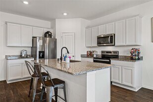 18517 Cremello Dr in Manor, TX - Building Photo