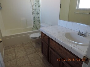 219 Endeavor Ln in Fernley, NV - Building Photo - Building Photo