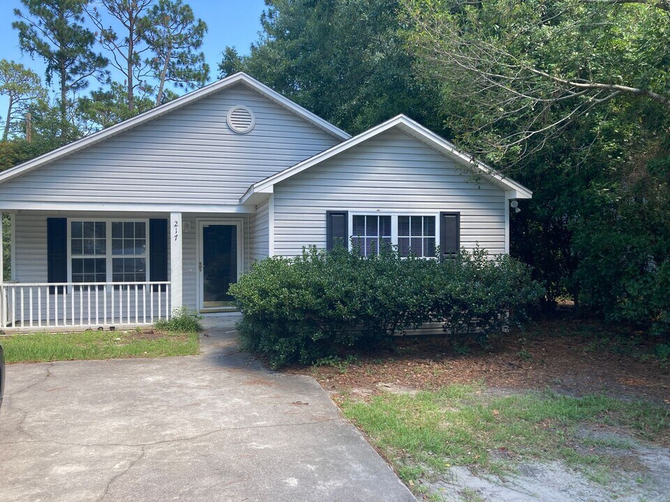 217 Charter Dr in Wilmington, NC - Building Photo