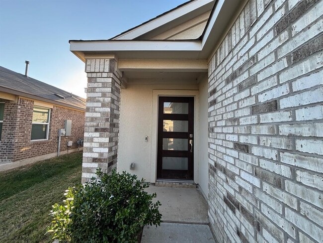 117 Canley Lp in Hutto, TX - Building Photo - Building Photo