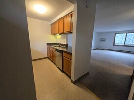 33 4th Ave in Oswego, NY - Building Photo