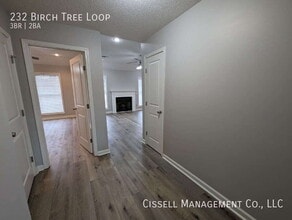 232 Birch Tree Loop in Oxford, MS - Building Photo - Building Photo