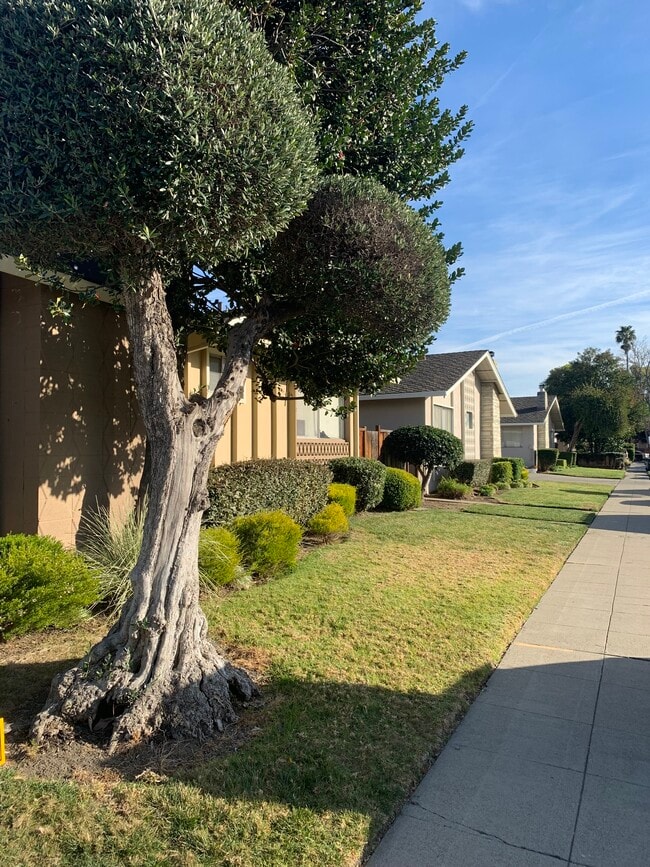 84 Kim Louise Dr, Unit 3 in Campbell, CA - Foto de edificio - Building Photo