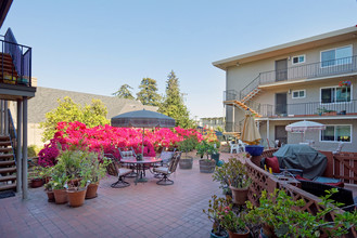 Bellevue Towers in Oakland, CA - Building Photo - Building Photo