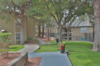 Double Tree in El Paso, TX - Building Photo - Building Photo