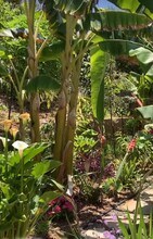 395 Plaza Calimar in Chula Vista, CA - Building Photo - Building Photo