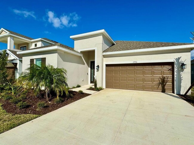 33936 Landsman Lp in Wesley Chapel, FL - Building Photo - Building Photo