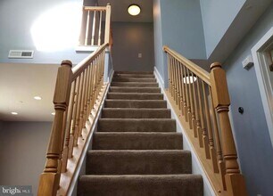 16210 Ellipse Terrace in Bowie, MD - Building Photo - Building Photo
