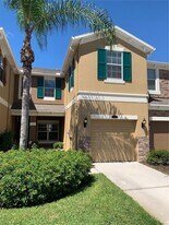 12530 Shirebrook Ct in Tampa, FL - Building Photo