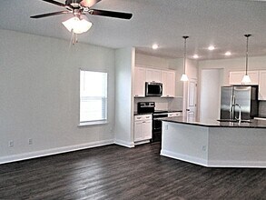 913 Sunny Stroll Dr in Middleburg, FL - Building Photo - Building Photo