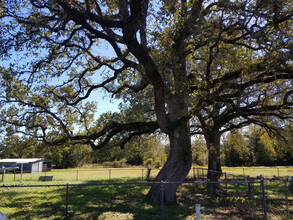 4404 TX-159 in La Grange, TX - Building Photo - Building Photo