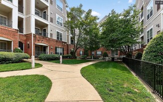 4854 Eisenhower Ave, Unit 252 in Alexandria, VA - Building Photo