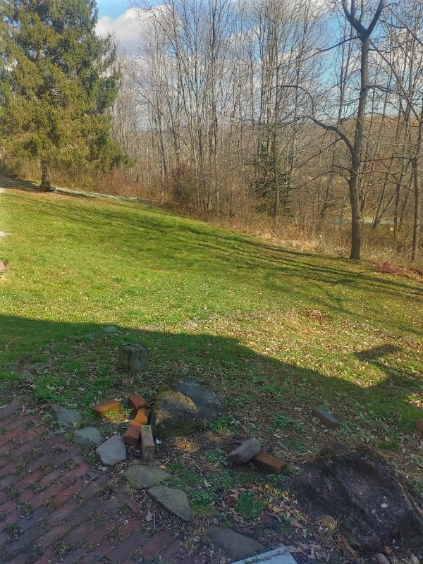 15 Bethany Hills Dr in Bethany, PA - Building Photo - Building Photo