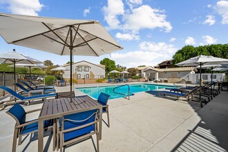 The Barton Apartments in Peoria, AZ - Building Photo - Building Photo