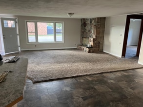 297 Ohio St in Farwell, MI - Building Photo - Building Photo