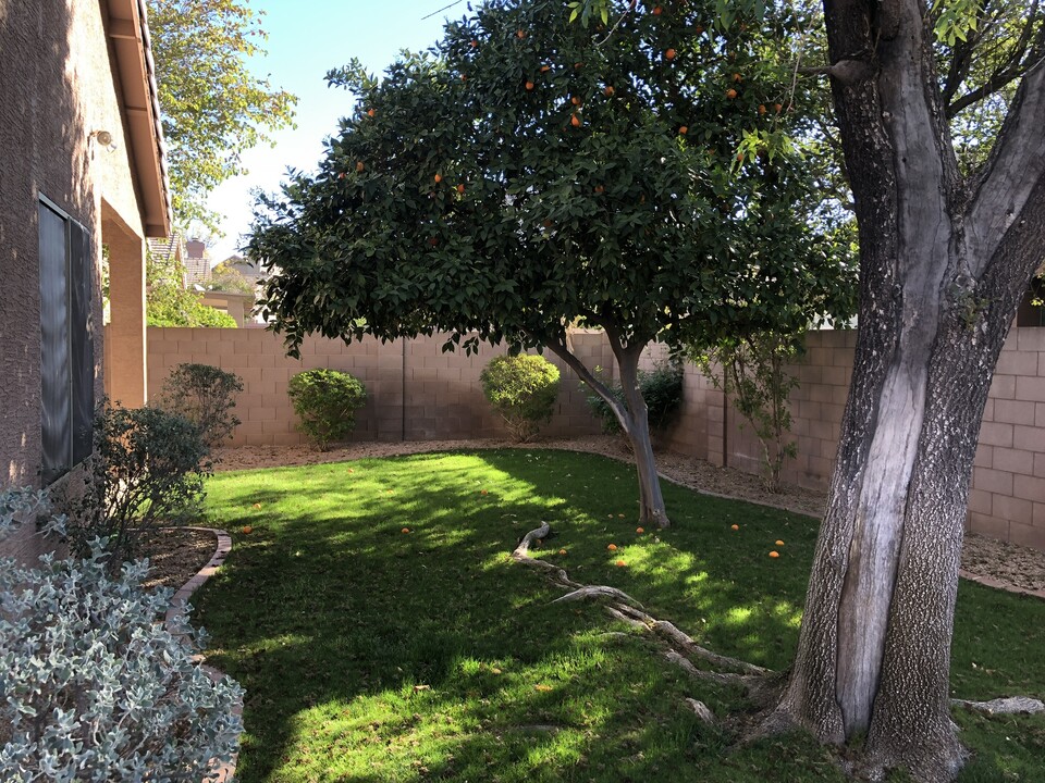 4637 E Chisum Trail in Phoenix, AZ - Building Photo