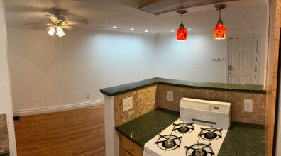 245 S Pennsylvania St in Denver, CO - Foto de edificio - Building Photo