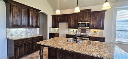 944 Lake Meadow Ln in Little Elm, TX - Building Photo - Building Photo
