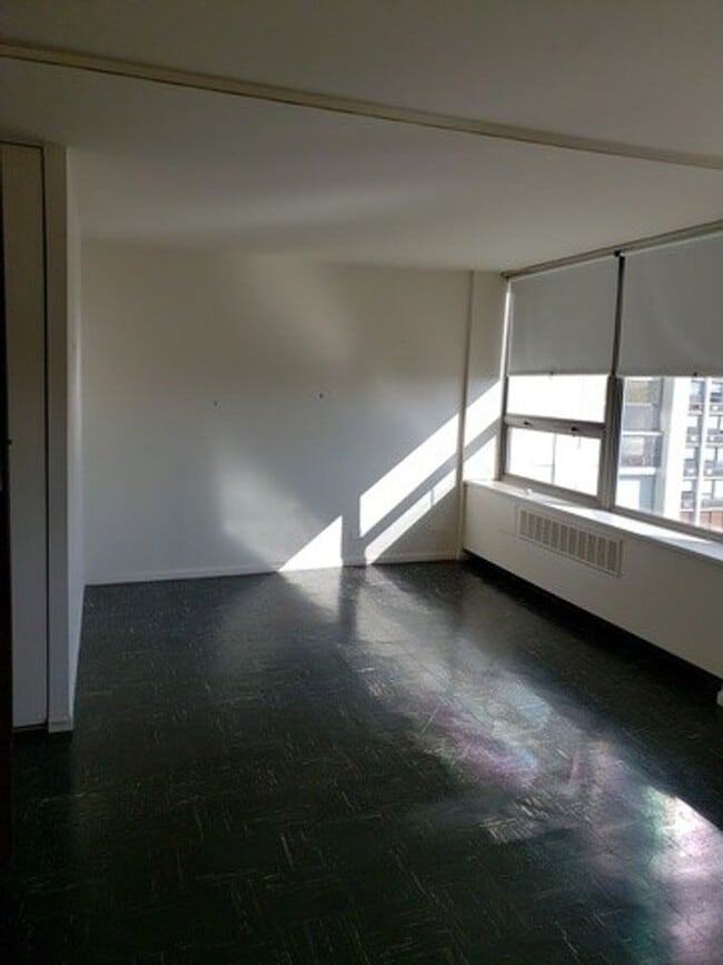 1460 N Sandburg Terrace in Chicago, IL - Building Photo - Building Photo