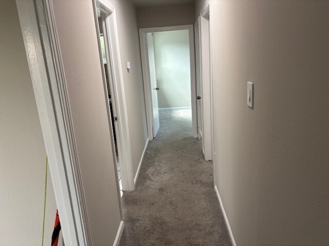 property at 3210 Proswimmer St