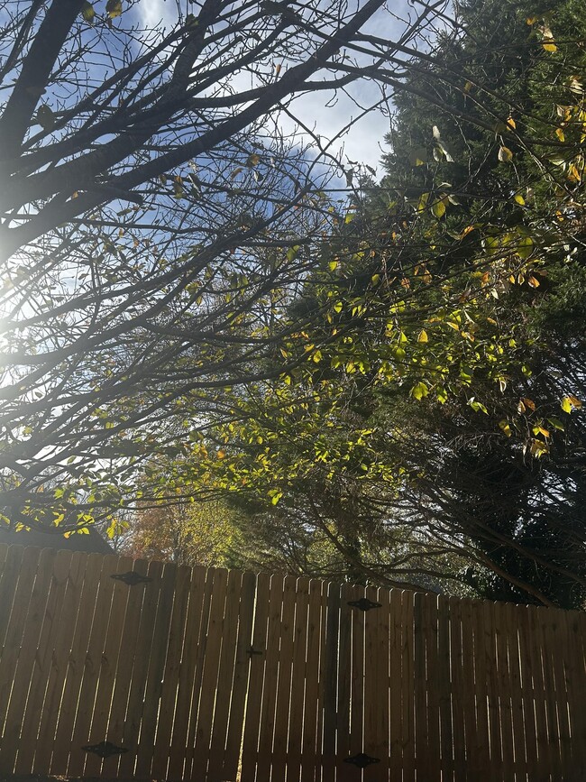 515 Bally Claire Ln in Roswell, GA - Building Photo - Building Photo