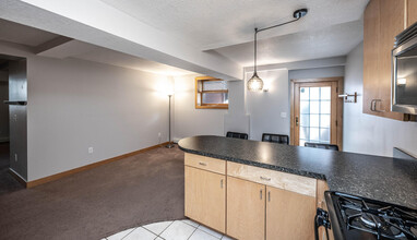 319 W 47th St in Minneapolis, MN - Building Photo - Building Photo