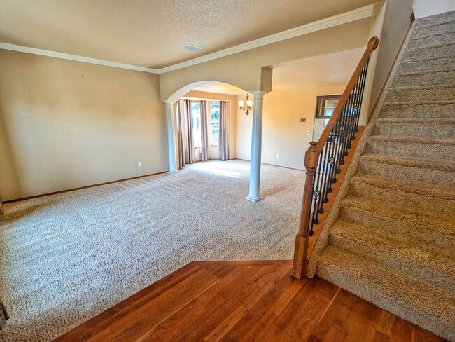 6220 Tin Star Dr in Colorado Springs, CO - Building Photo - Building Photo