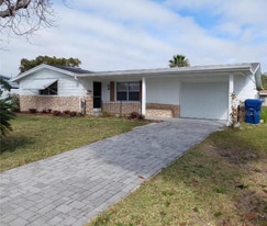 7435 Hollyridge Dr in New Port Richey, FL - Building Photo