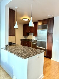 60 E Monroe St, Unit 3006 in Chicago, IL - Building Photo - Building Photo