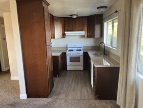 33951 Mariana Dr in Dana Point, CA - Building Photo - Building Photo