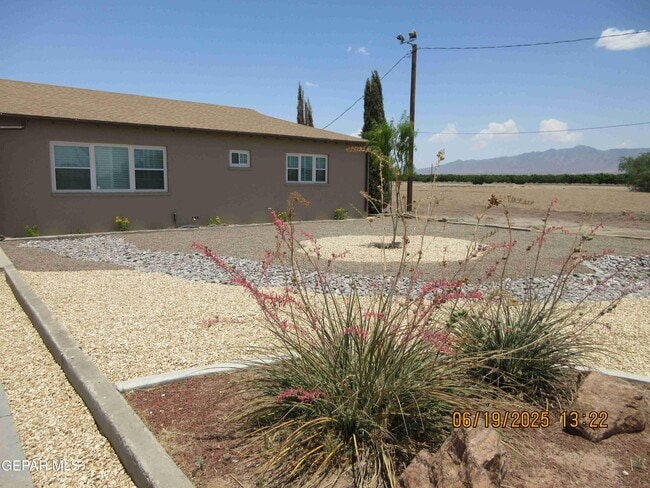 895 Gato Rd in El Paso, TX - Building Photo - Building Photo