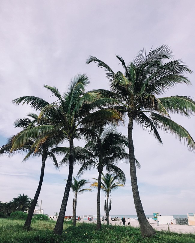 Casas Alquiler en Downtown Hialeah, FL