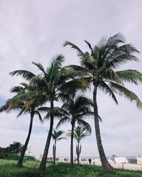 Apartments in Hialeah, FL