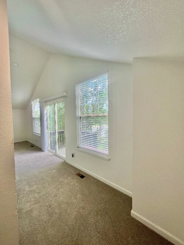 5116 Dvorak Cir in Longmont, CO - Building Photo - Building Photo
