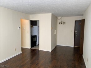 17901 Lakeshore Blvd in Cleveland, OH - Building Photo - Building Photo