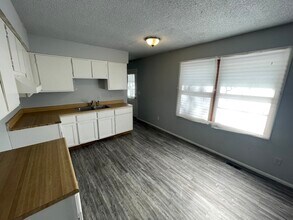 924 Blue Ridge Dr in Danville, IL - Building Photo - Building Photo