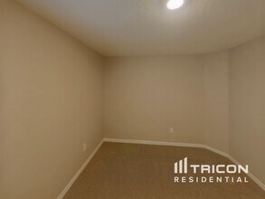 10923 Rainbow Pyrite Dr in Wimauma, FL - Building Photo - Building Photo