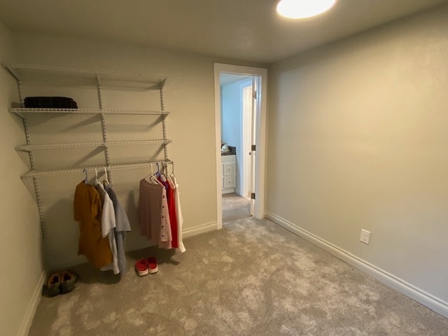 1032 Meadowbrook Dr in Fort Collins, CO - Foto de edificio - Building Photo