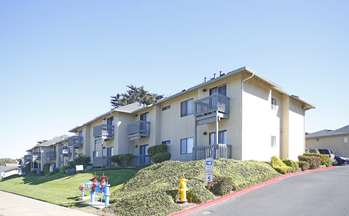 Sea Breeze Apartments in Marina, CA - Foto de edificio