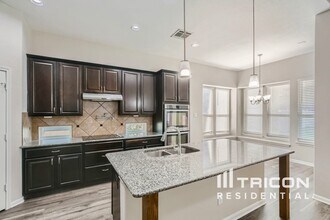 144 Brook Stone in Cibolo, TX - Building Photo - Building Photo