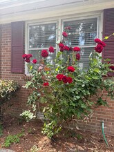 2200 Grady St in Kinston, NC - Building Photo - Building Photo