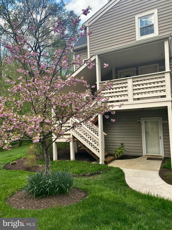 7678 Willow Point Dr in Falls Church, VA - Building Photo - Building Photo