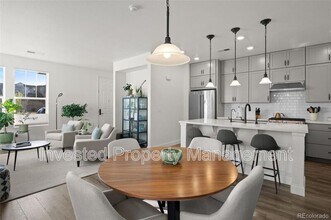 3061 Low Meadow Blvd in Castle Rock, CO - Building Photo - Building Photo