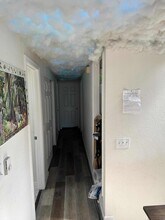 10207 8th Ave NE in Seattle, WA - Building Photo - Building Photo