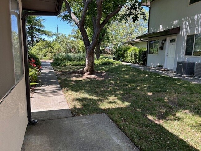 1703 Donner Ave in Davis, CA - Building Photo - Building Photo