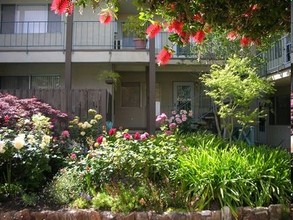 The Royal Apartments in Walnut Creek, CA - Building Photo - Building Photo