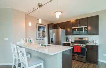 355 E Ohio St in Chicago, IL - Building Photo - Building Photo