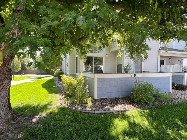 1419 Red Mountain Dr in Longmont, CO - Building Photo - Building Photo